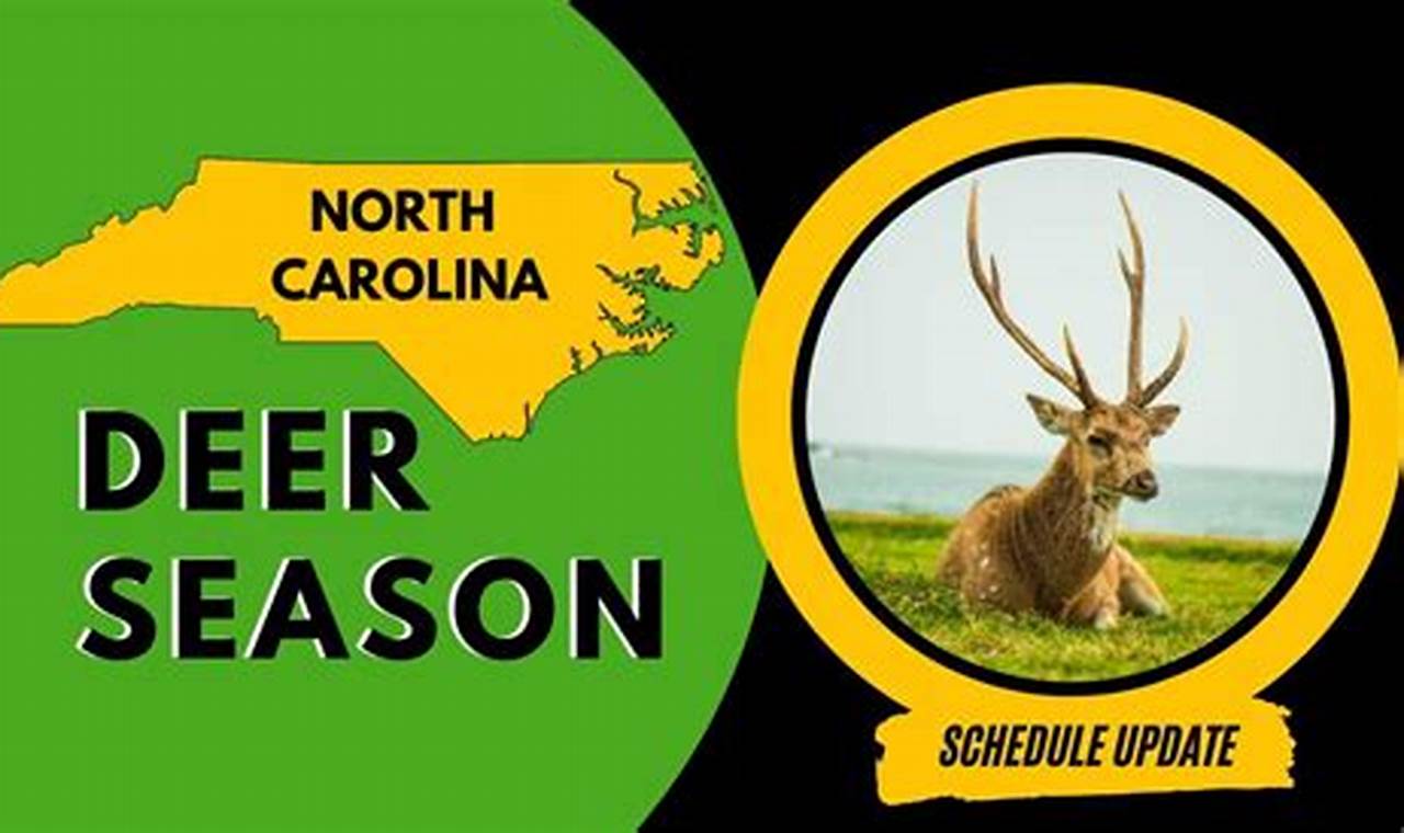 Deer Season North Carolina 2024