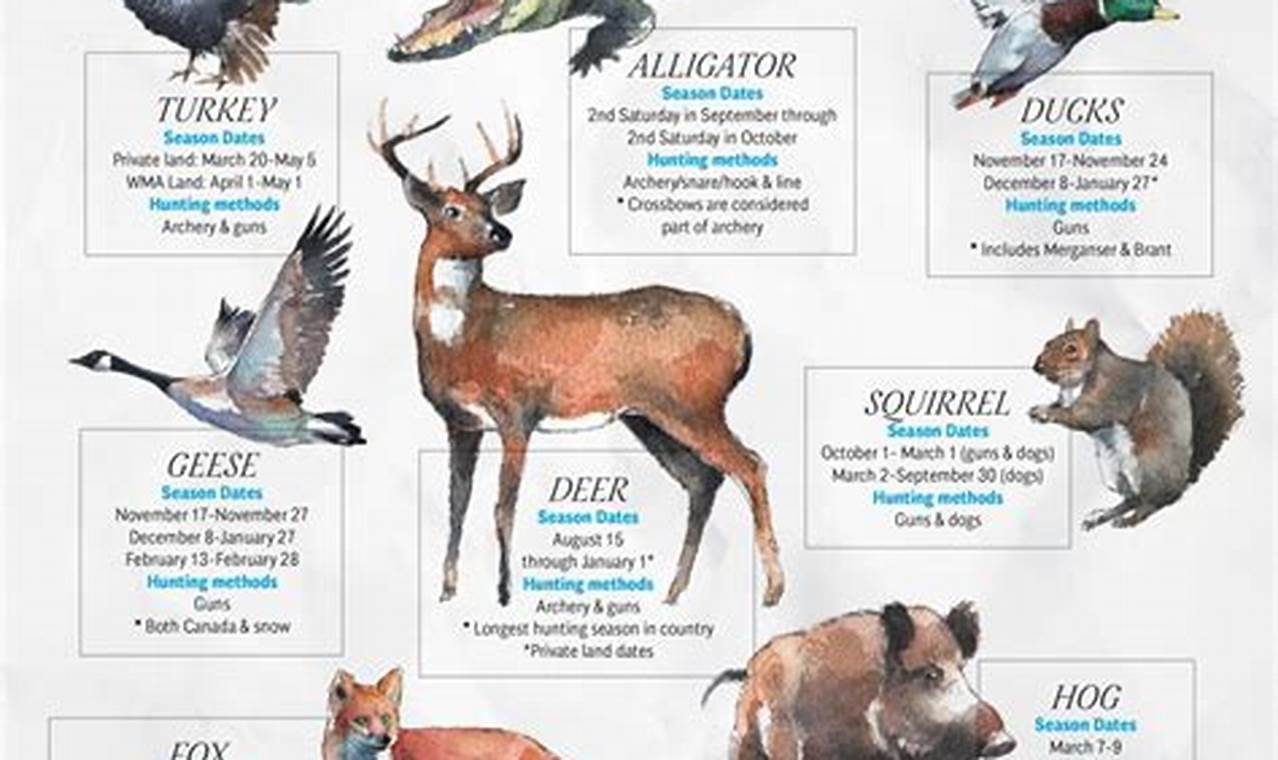 Deer Seasons 2024