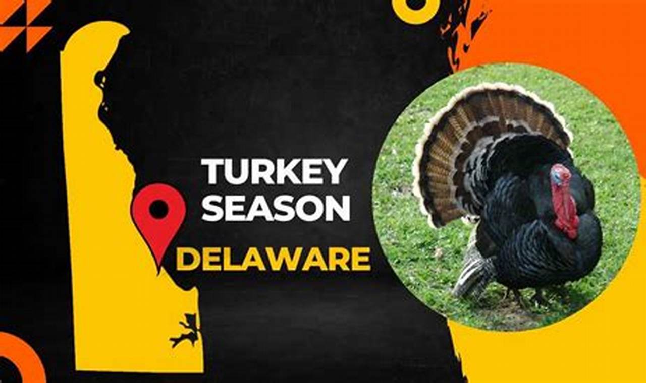 Delaware Turkey Season 2024