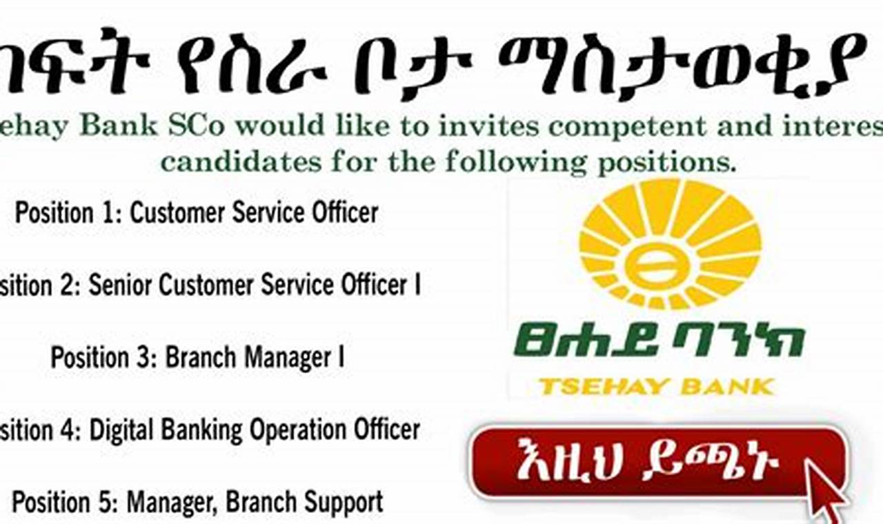 Development Bank Of Ethiopia Job Vacancy 2024