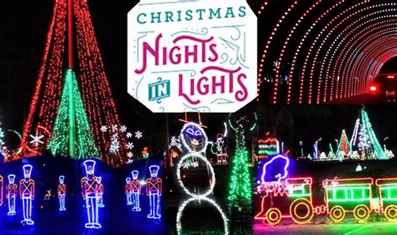 Dezerland Christmas Lights 2024