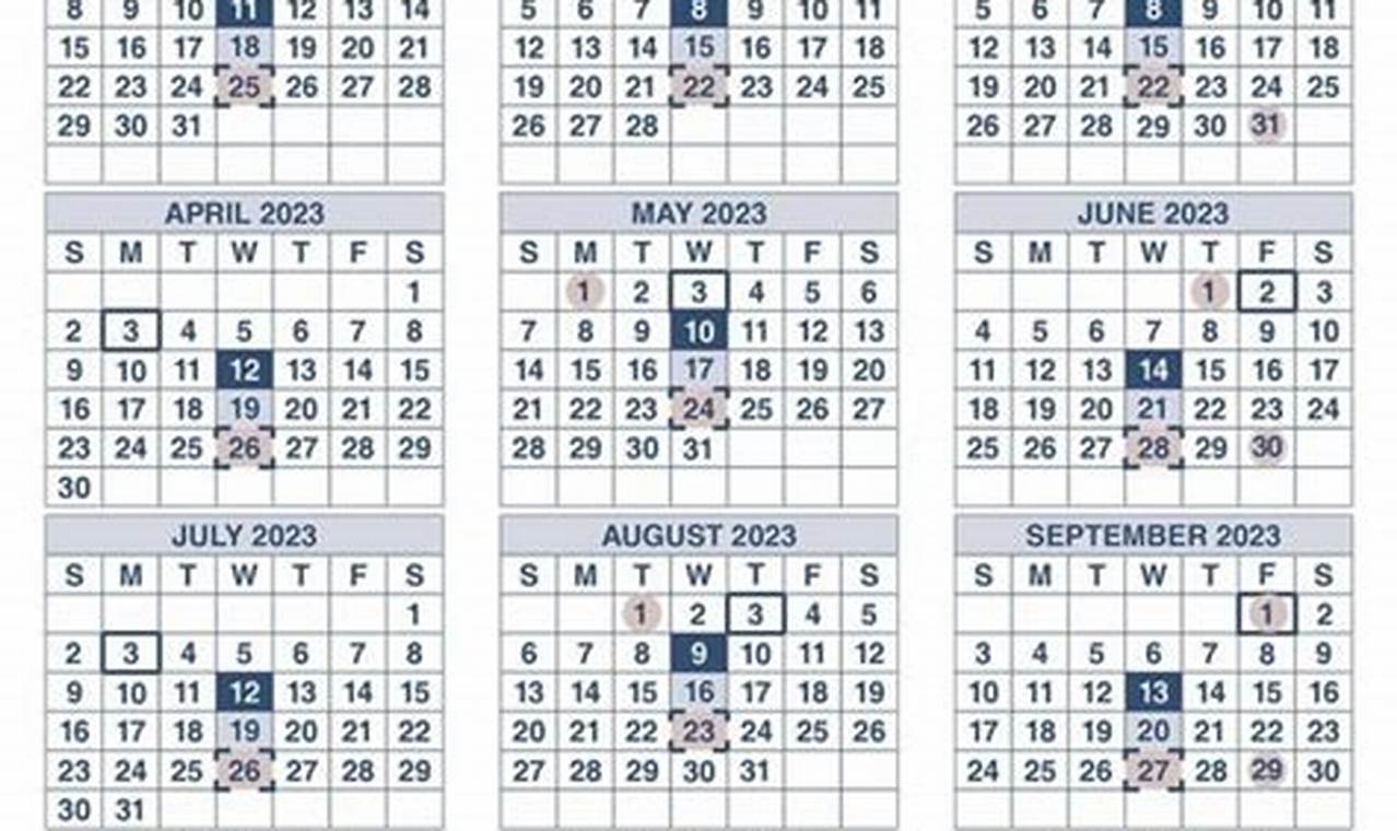 Disability Payment July 2024
