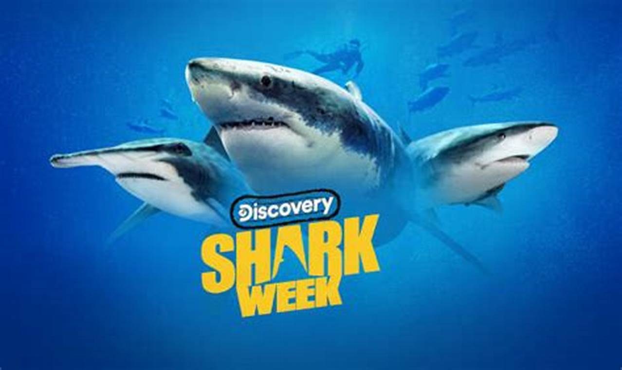 Discovery Plus Shark Week 2024