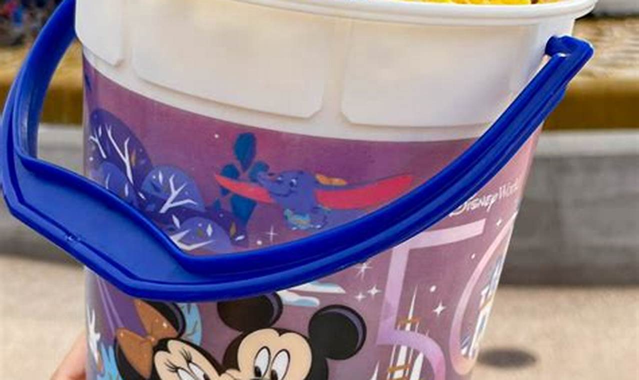 Disney World 2024 Popcorn Bucket