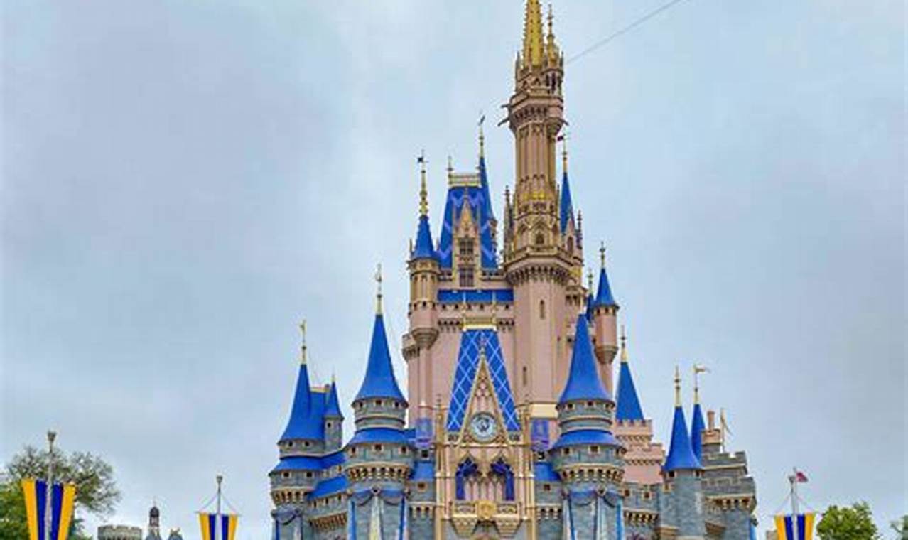 Disney World Castle 2024