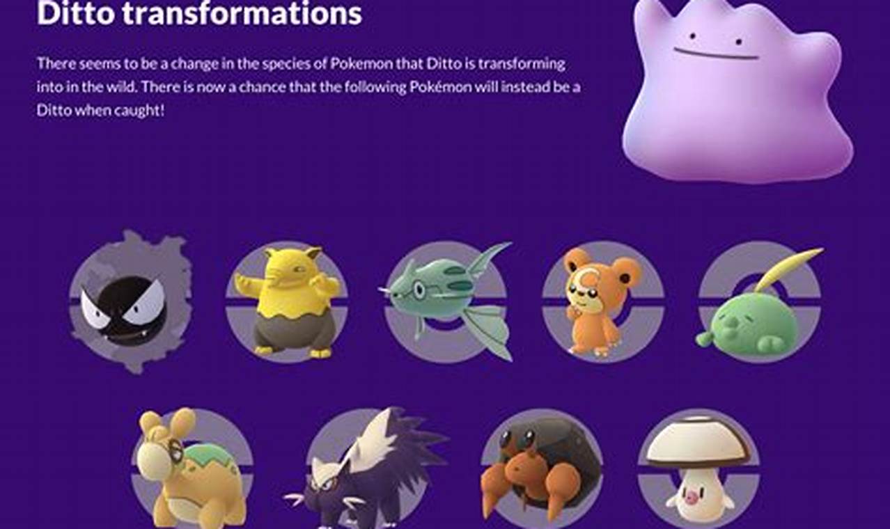 Ditto Forms August 2024