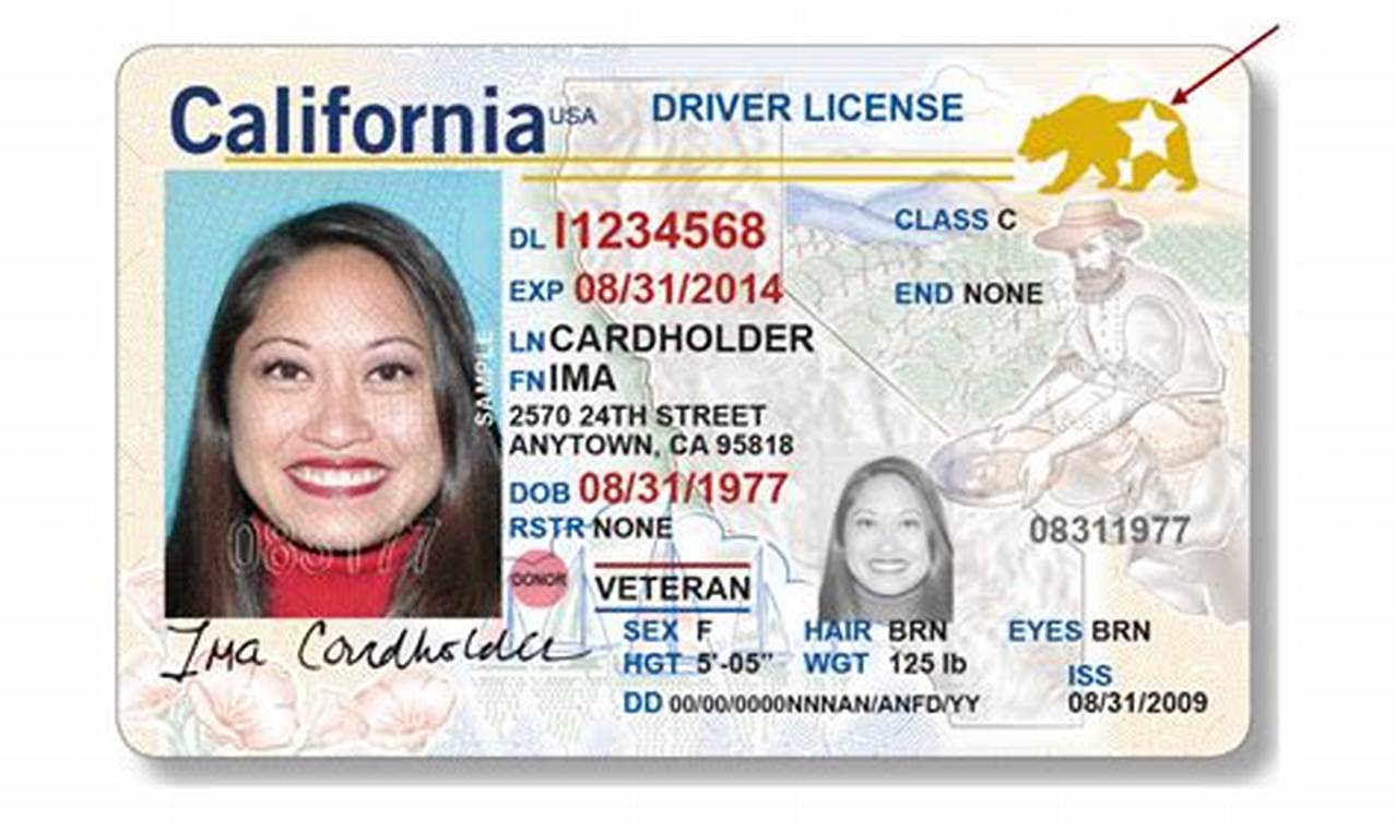 Do I Need Real Id To Fly In 2024