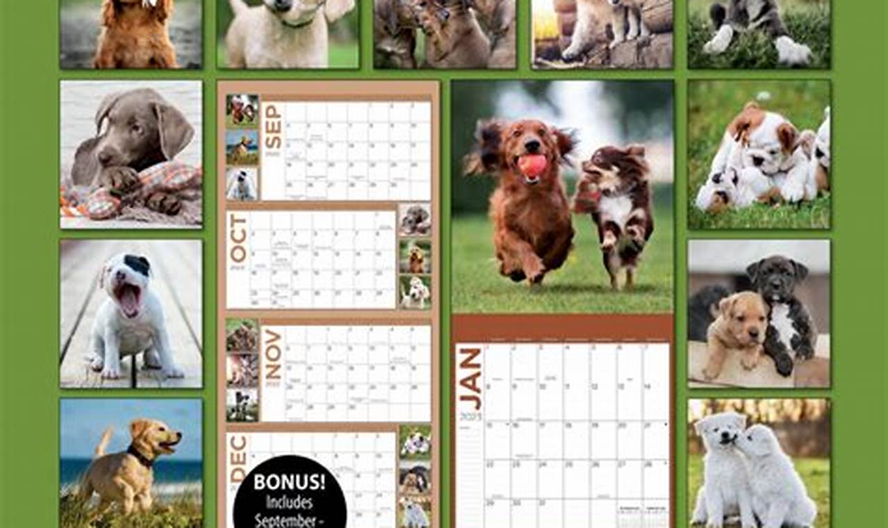 Dog Days 2024 Calendar