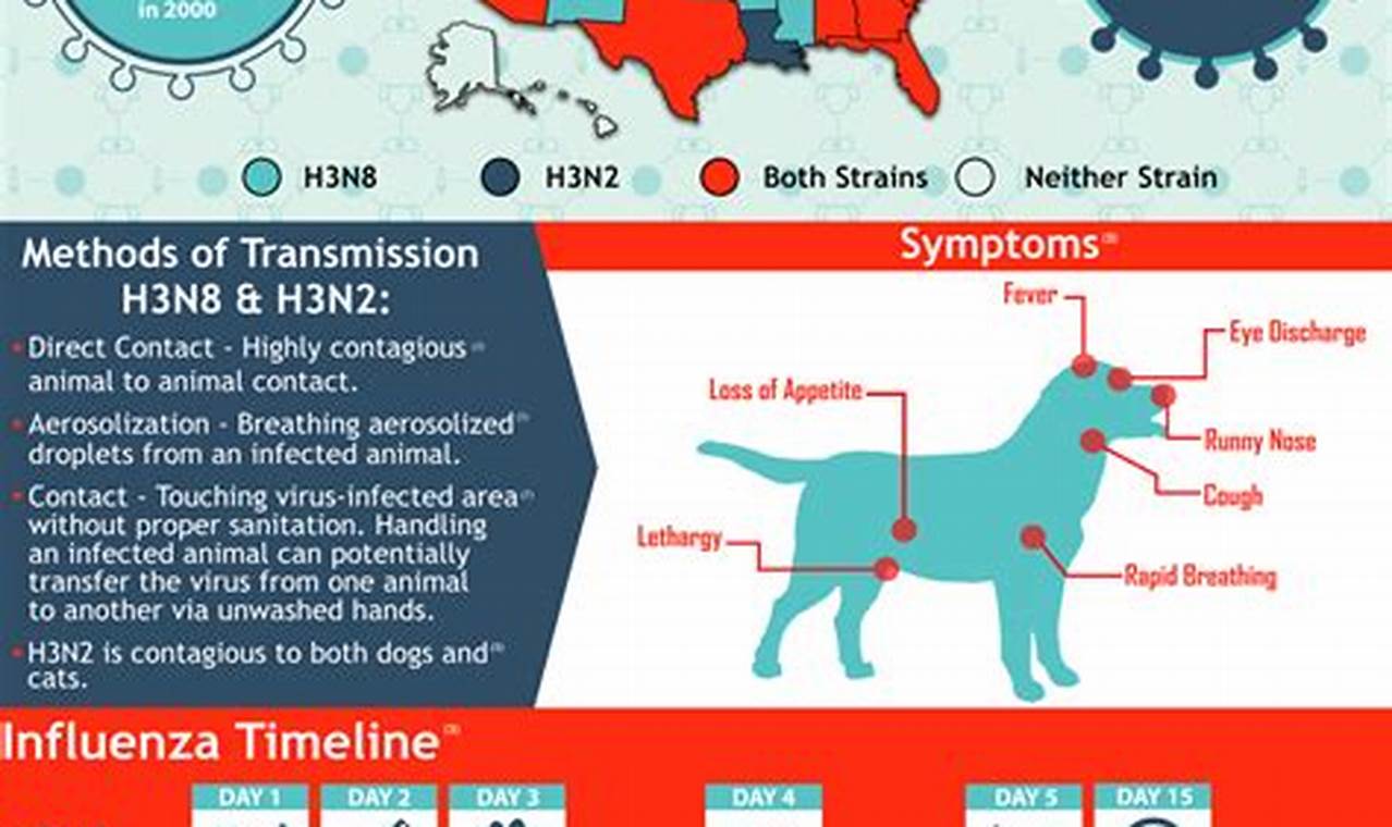 Dog Flu Map 2024