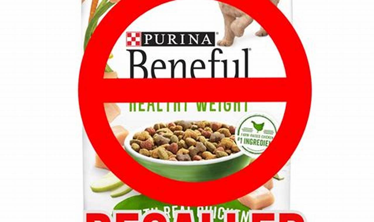 Dog Food Recalls 2024 Purina