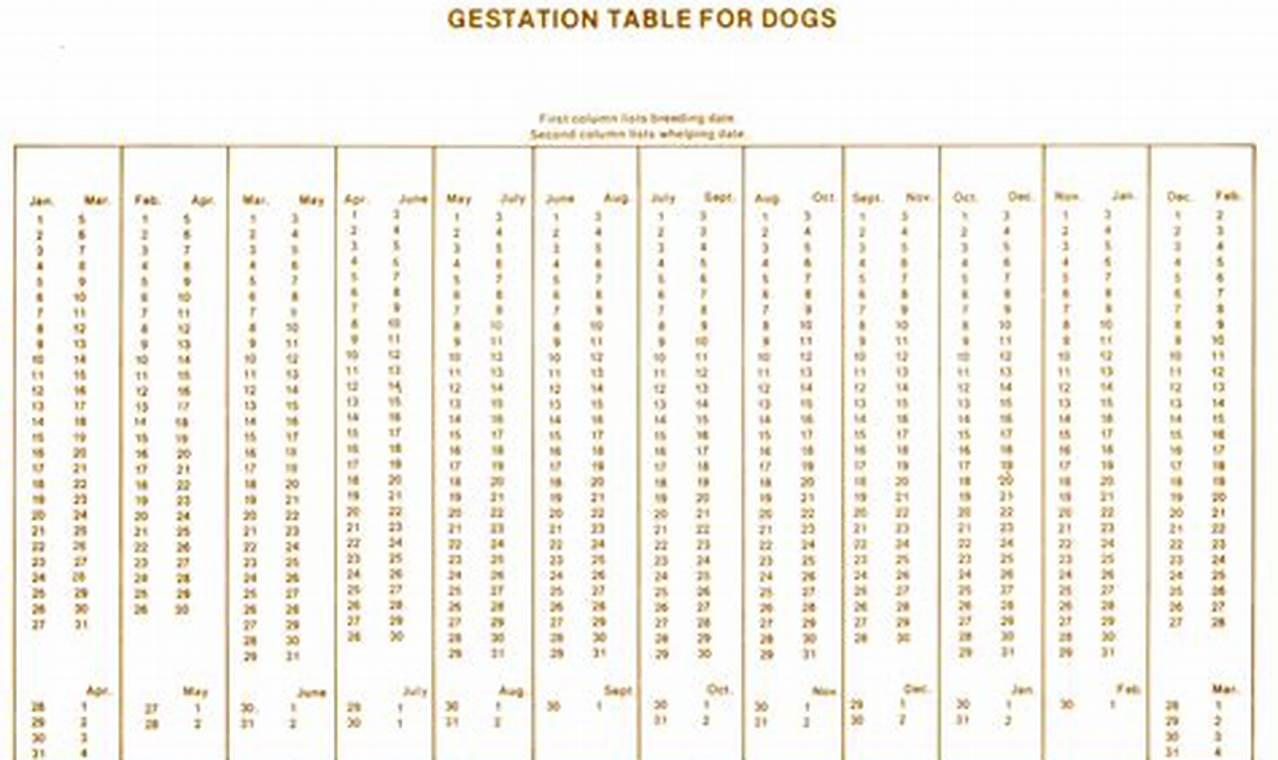 Dog Gestational Calendar