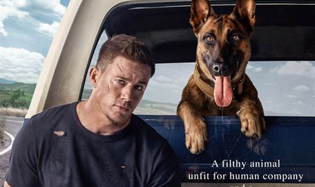 Dog Movie 2024 Streaming On Netflix