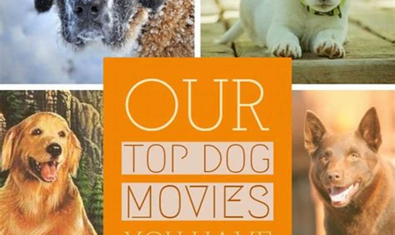 Dog Movies List 2024 Free