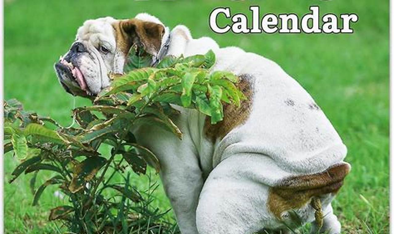 Dog Pooping Calendar 2024