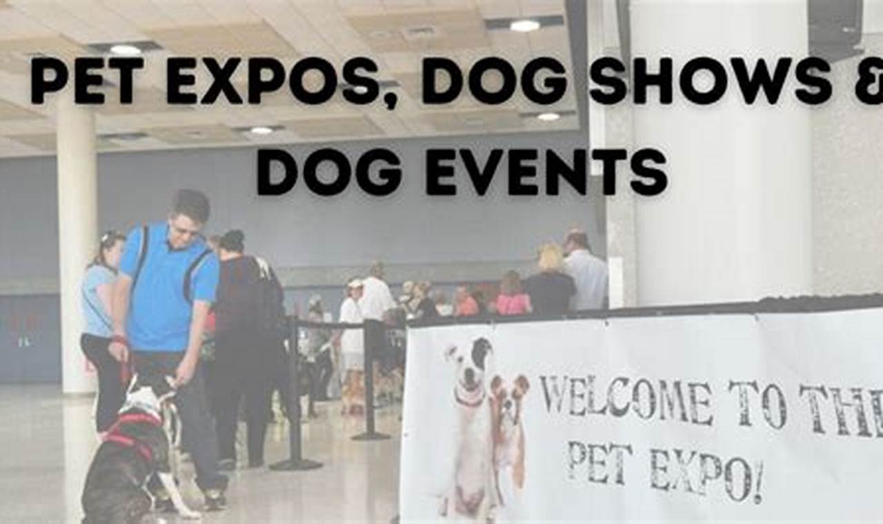 Dog Shows In Illinois 2024