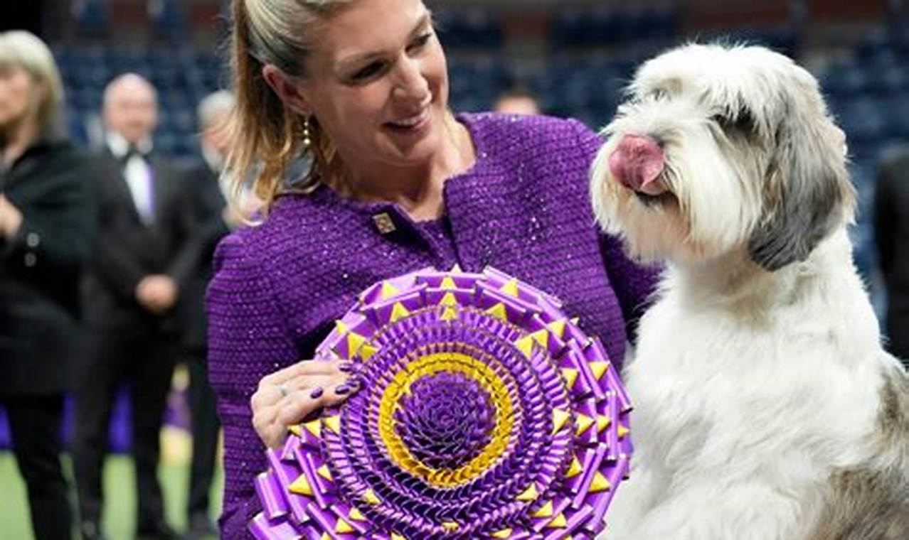 Dog That Won Westminster 2024