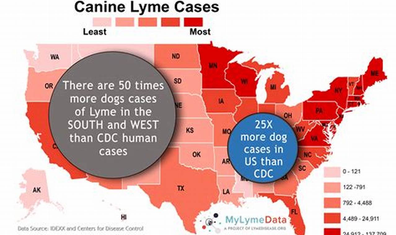 Dog Virus 2024 States