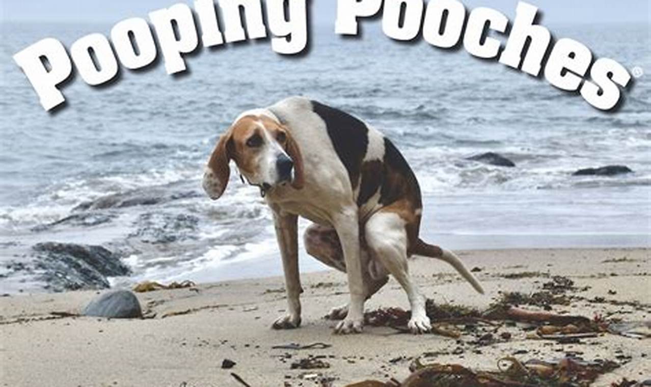 Dogs Pooping Calendar 2024