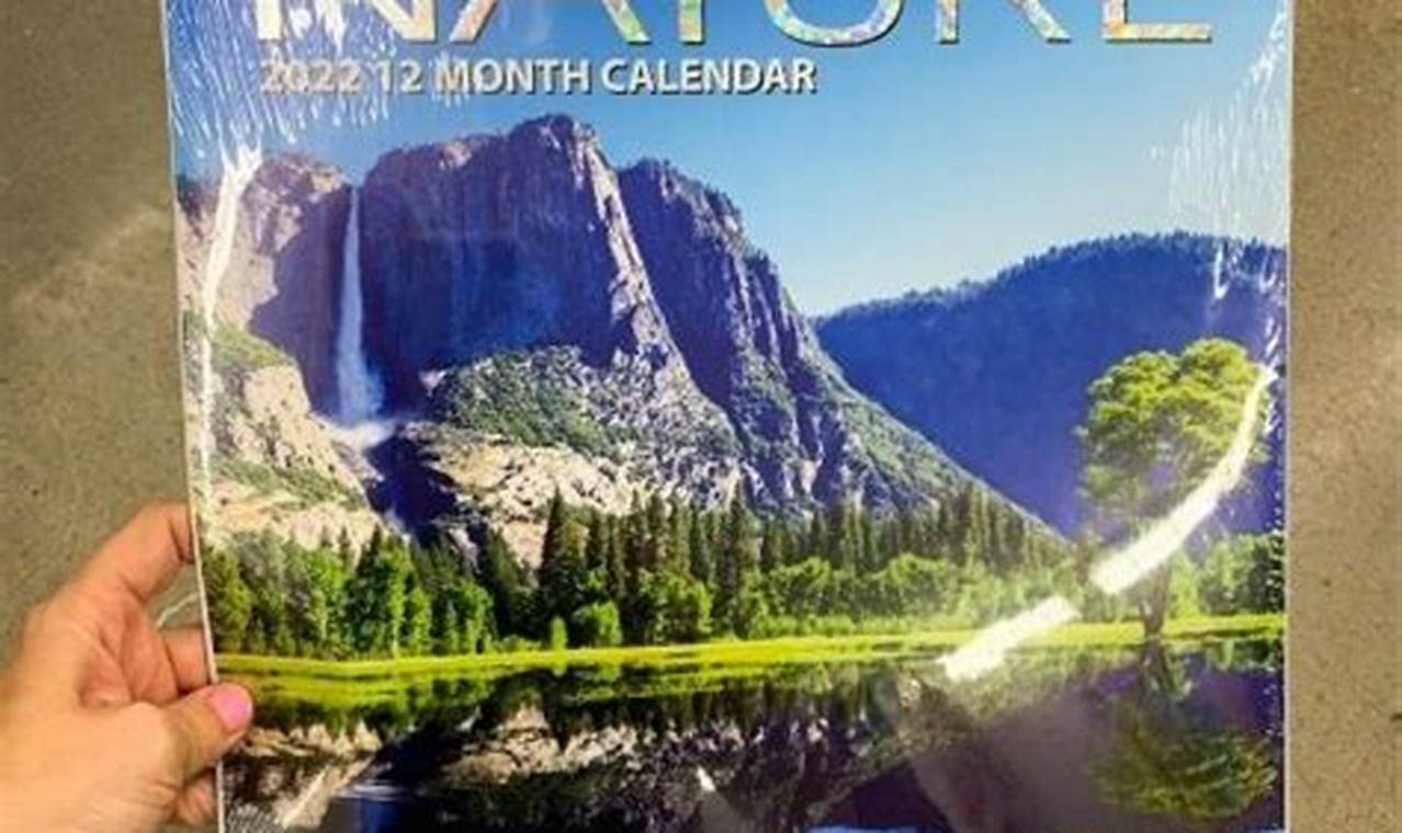 Dollar Tree Closing List 2024 Calendar