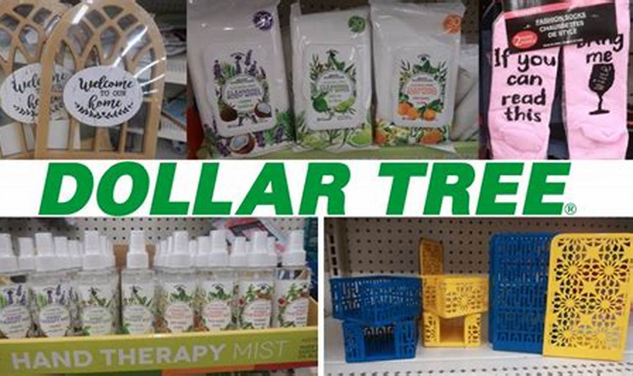 Dollar Tree Jan 2024 New Finds