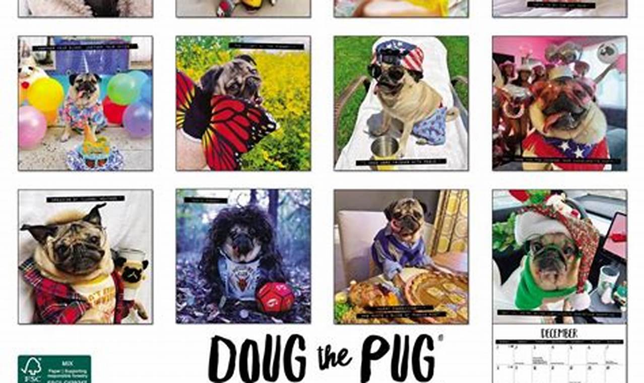 Doug The Pug Desk Calendar 2024 Calendar Google