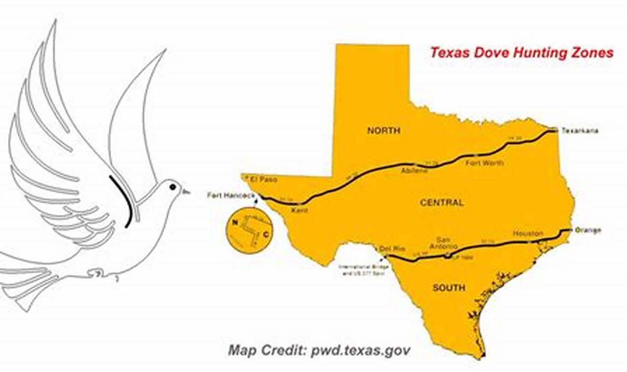 Dove Season South Texas 2024