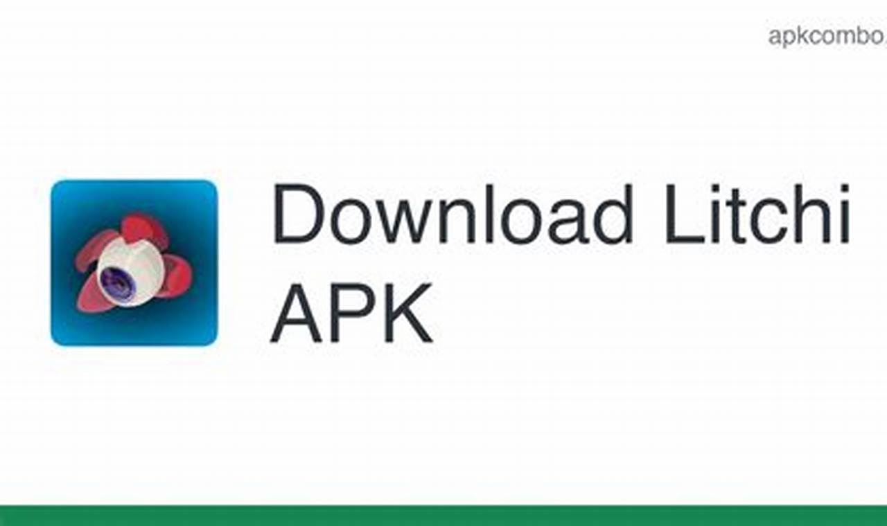 Downloadn litchi apk download