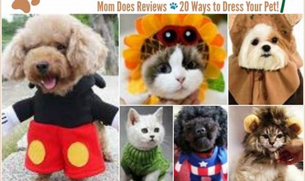 Dress Up Pet Day