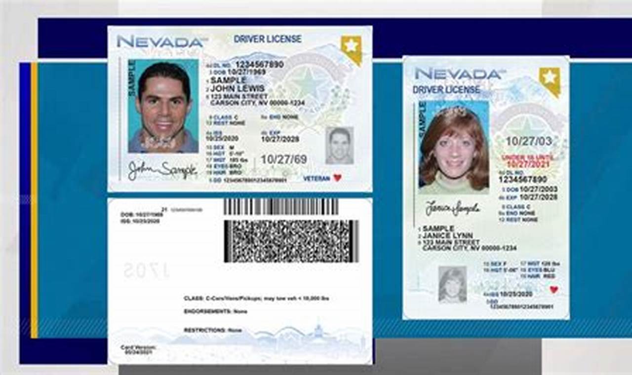 Drivers License Front And Back 2024