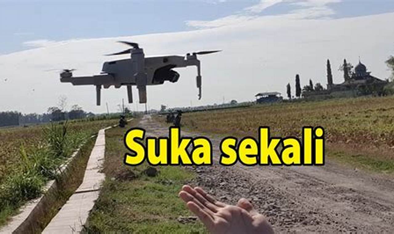 Drone Apa saja yang support aplikasi Litchi