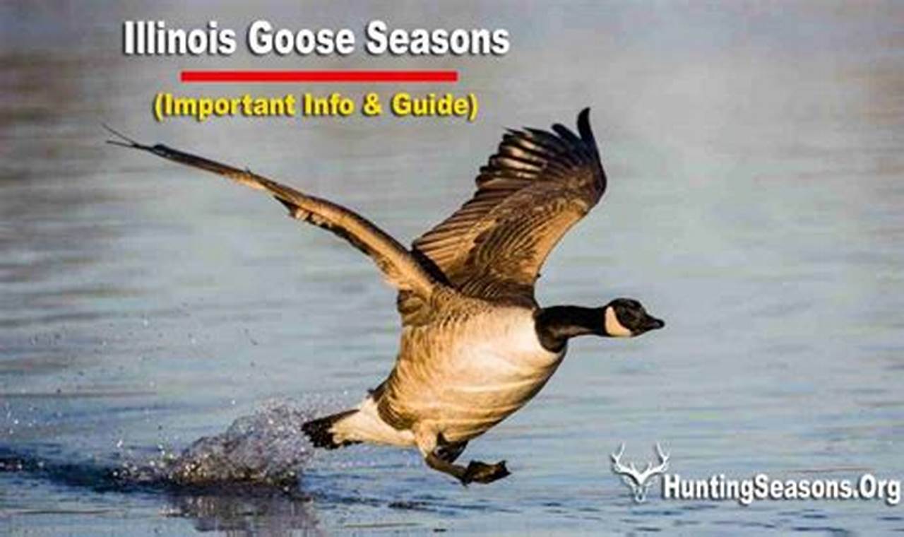 Early Goose Season Illinois 2024