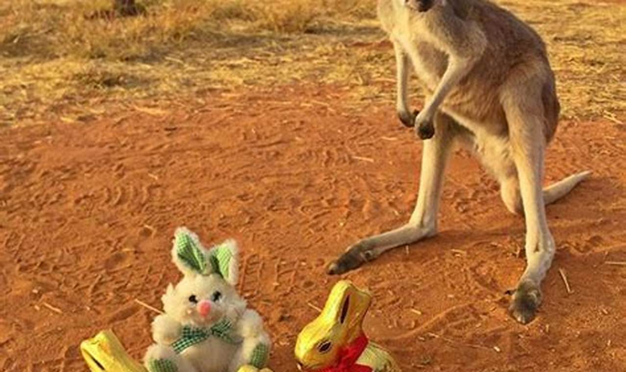 Easter In Australia 2024