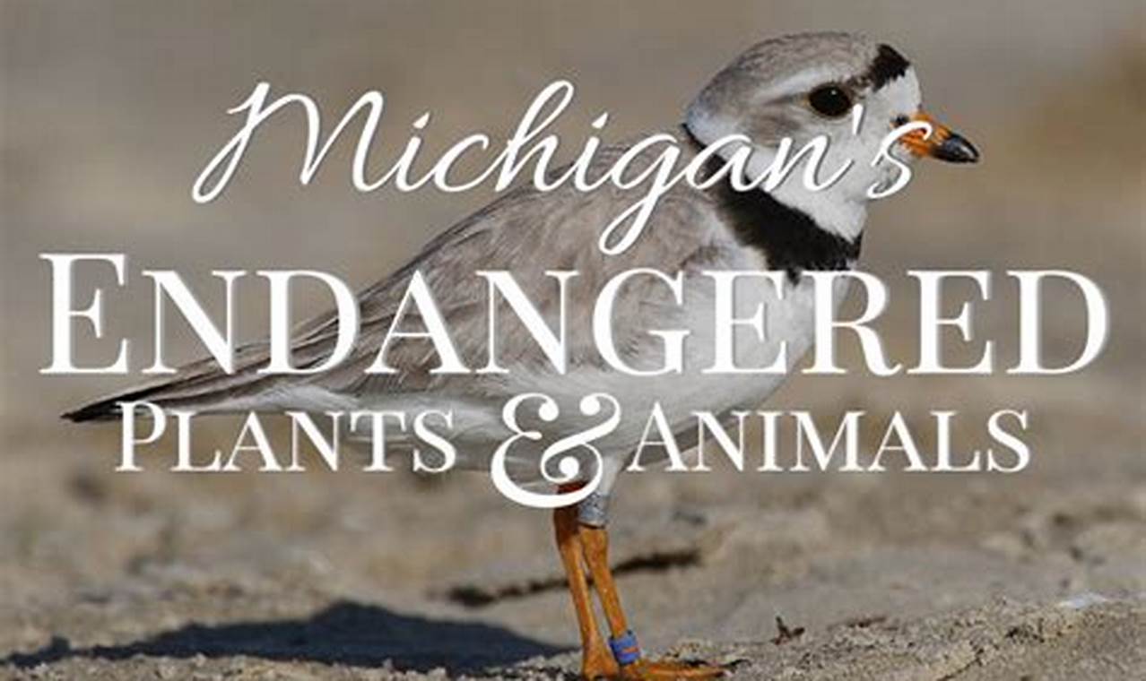 Endangered Animals In Michigan 2024