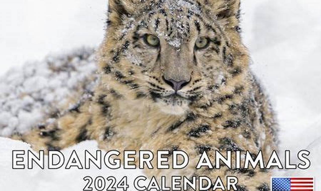 Endangered Species Calendar 2024