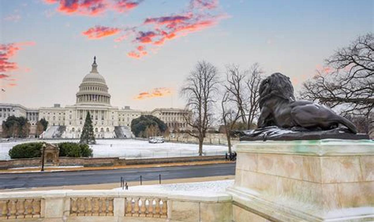 Events In Dc February 2024