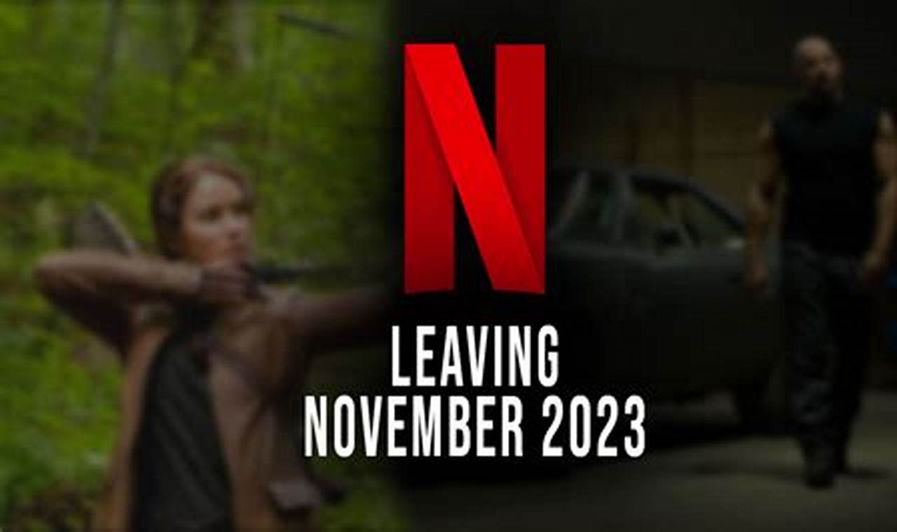 Everything Leaving Netflix November 2024