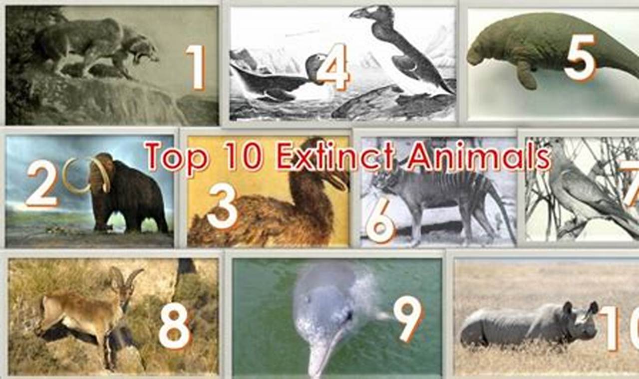 Extinct Animals 2024