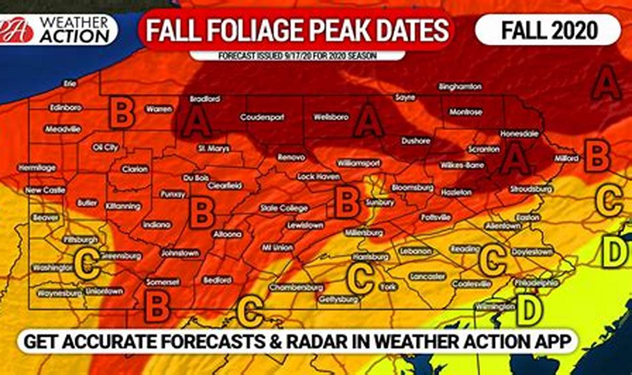 Fall Foliage 2024 Forecast