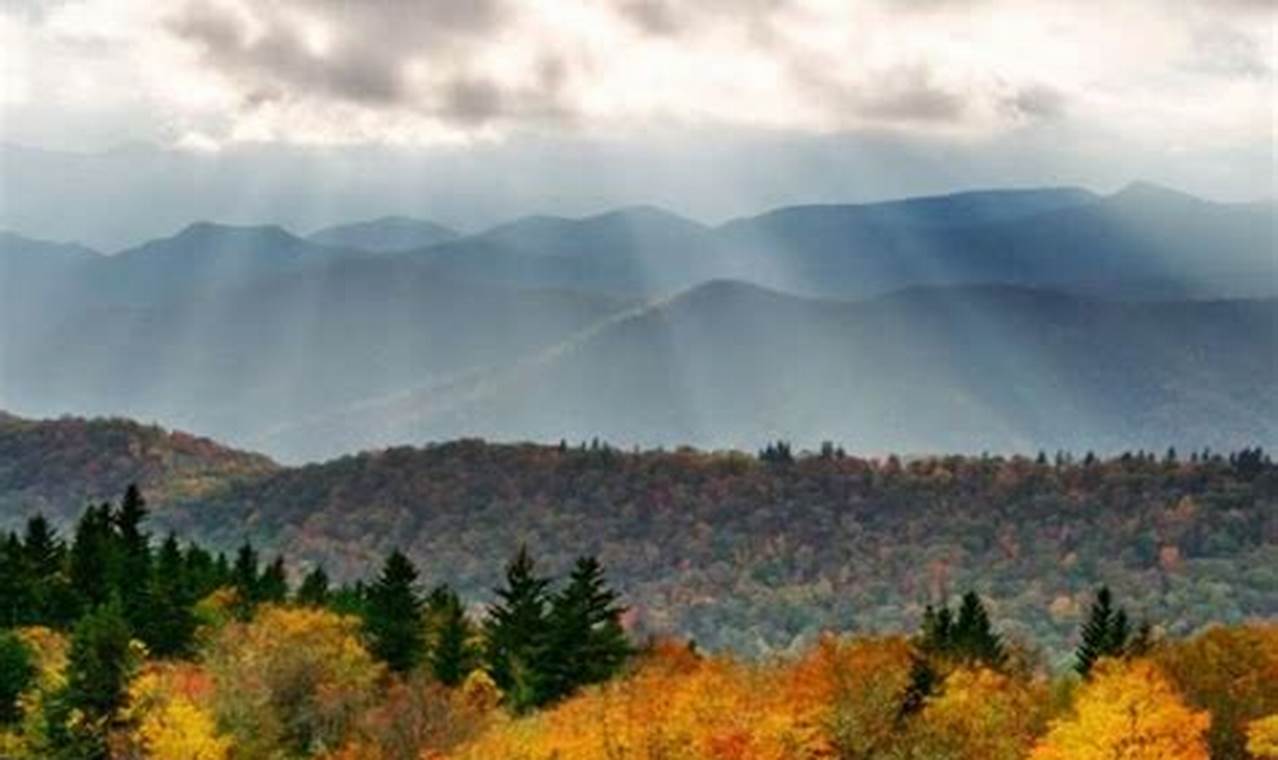 Fall Foliage Asheville Nc 2024