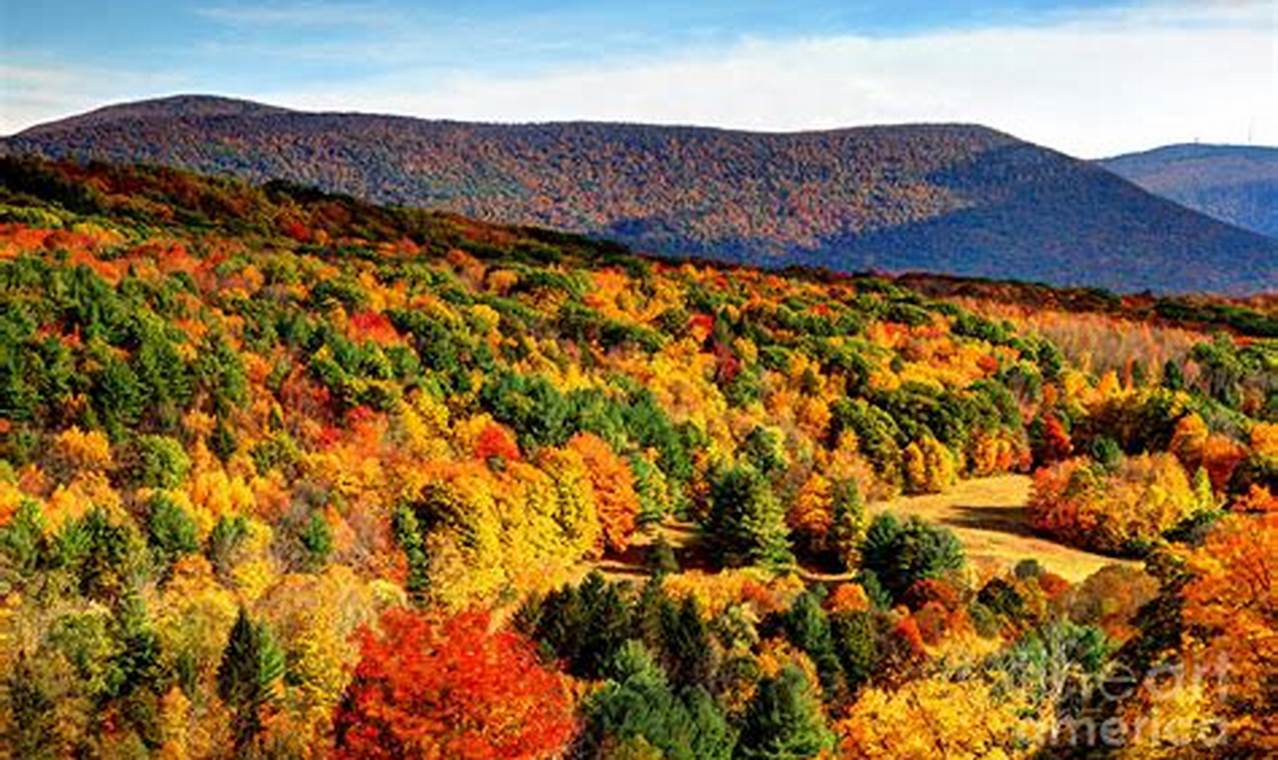 Fall Foliage Berkshires 2024