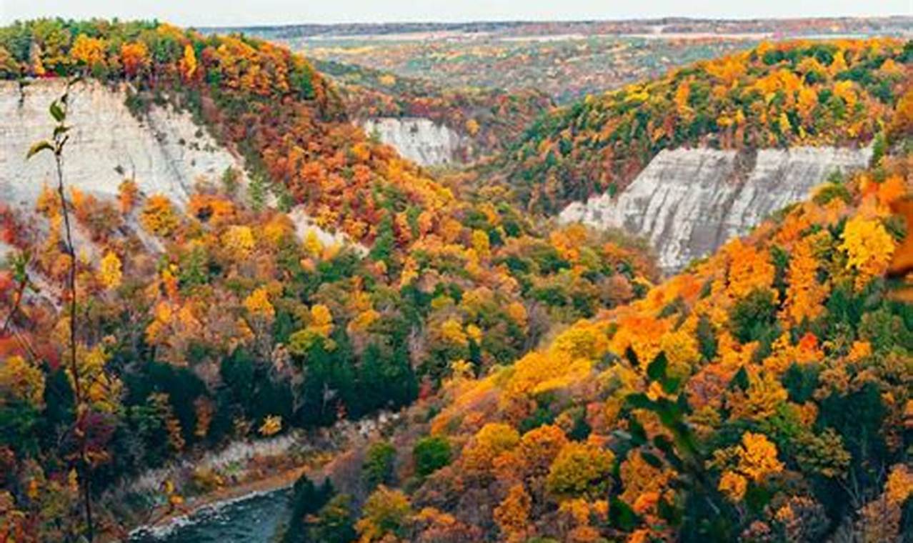 Fall Foliage Finger Lakes 2024