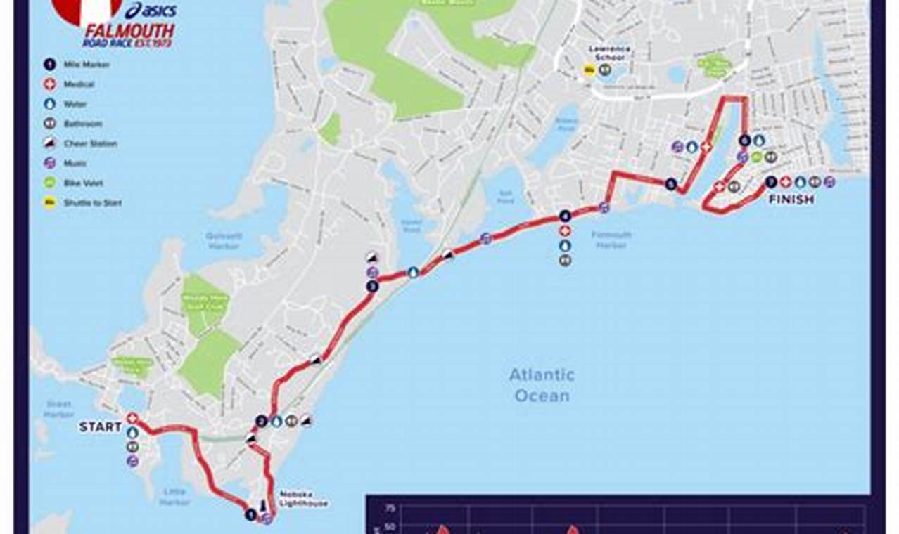 Falmouth Road Race 2024 Route