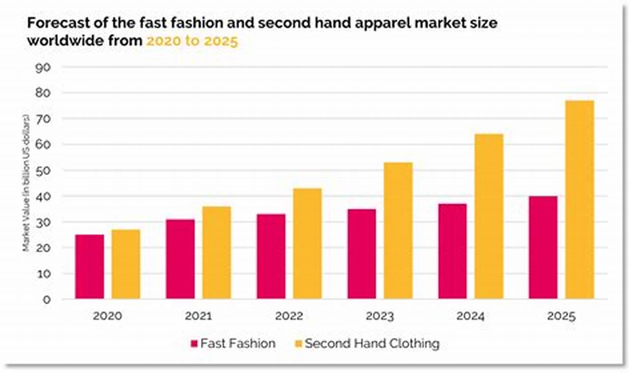 Fast Fashion Statistics 2024