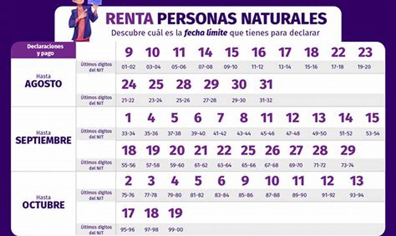 Fechas Para Presentar DeclaracióN De Renta 2024 Personas Naturales