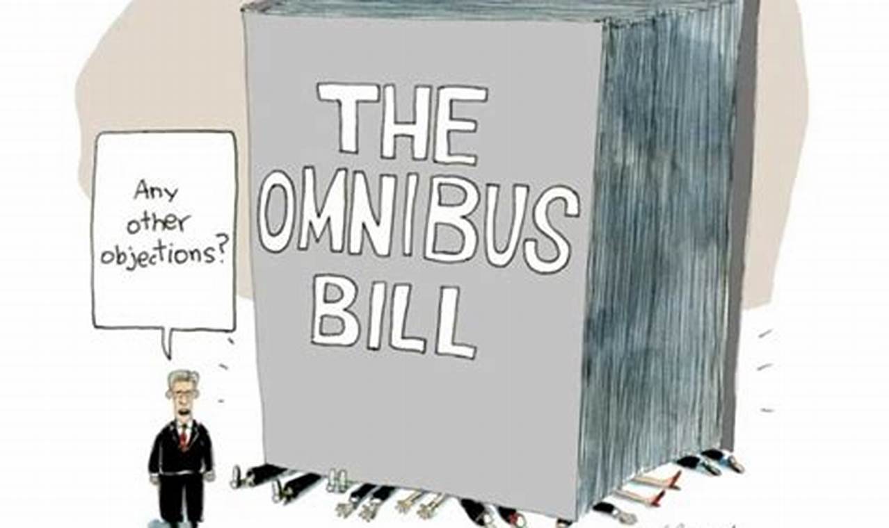 Federal Omnibus Bill 2024