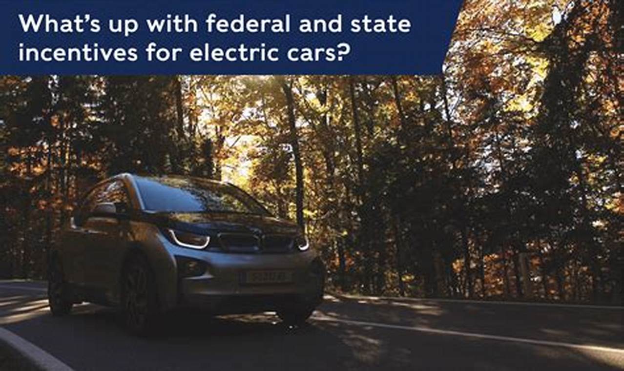 Federal Rebate Electric Car 2024