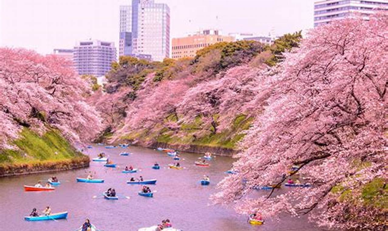 Festivals In Japan In March 2024