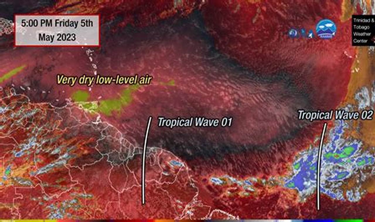 First Tropical Wave 2024