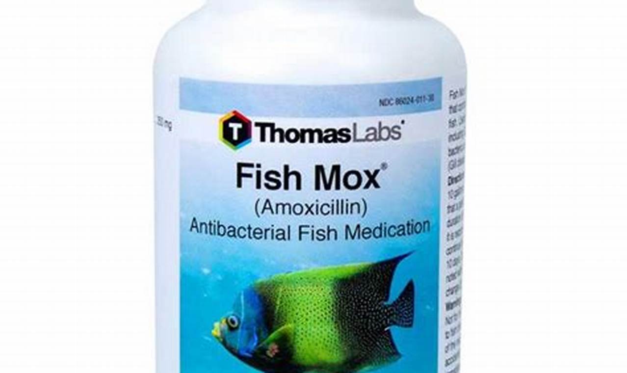 Fish Amoxicillin Dosage For Chickens