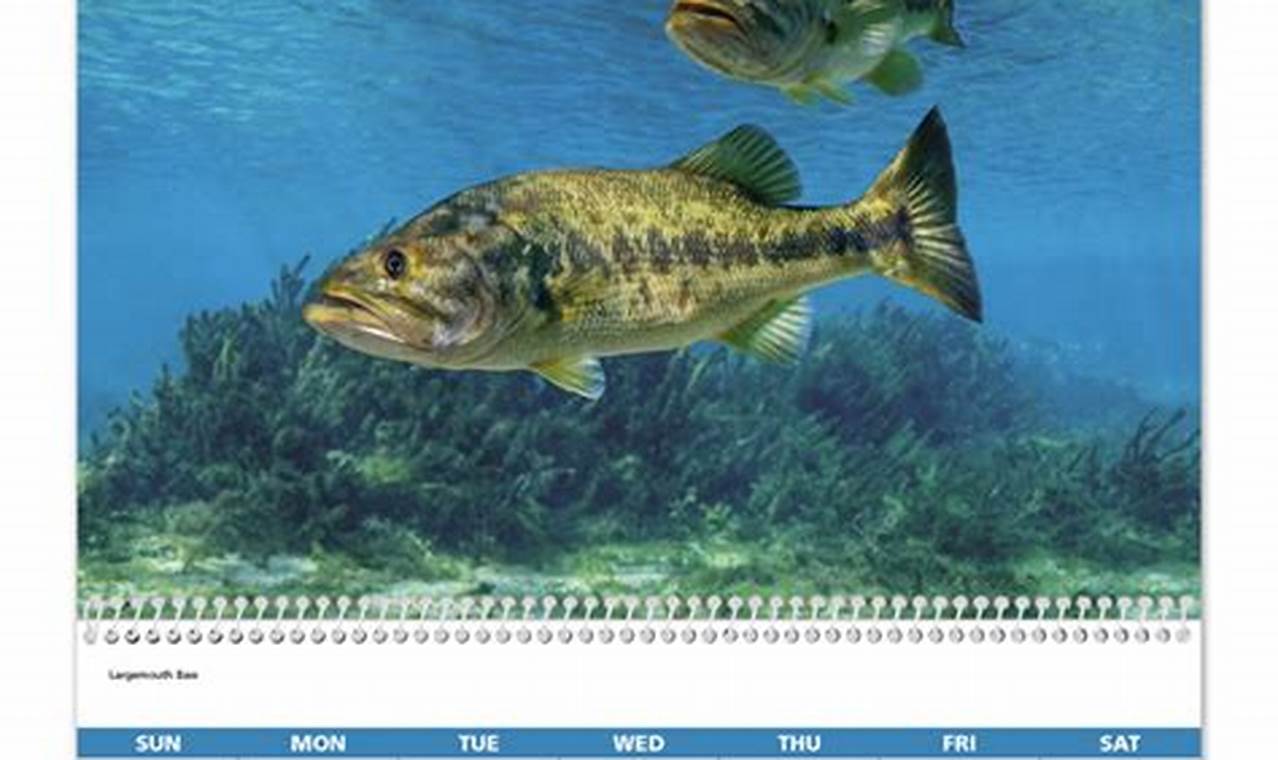 Fishing Calendar January 2024